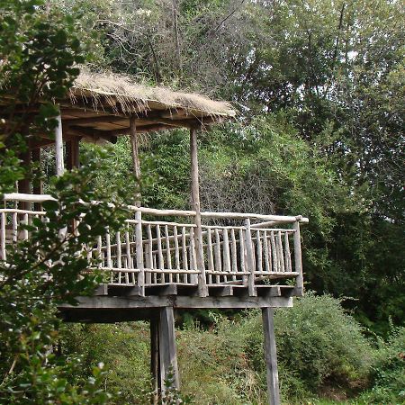 Villa Puelo Siempreverde Puelo River Exterior foto