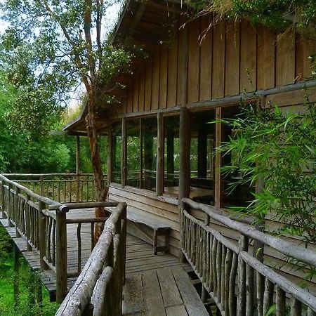 Villa Puelo Siempreverde Puelo River Exterior foto