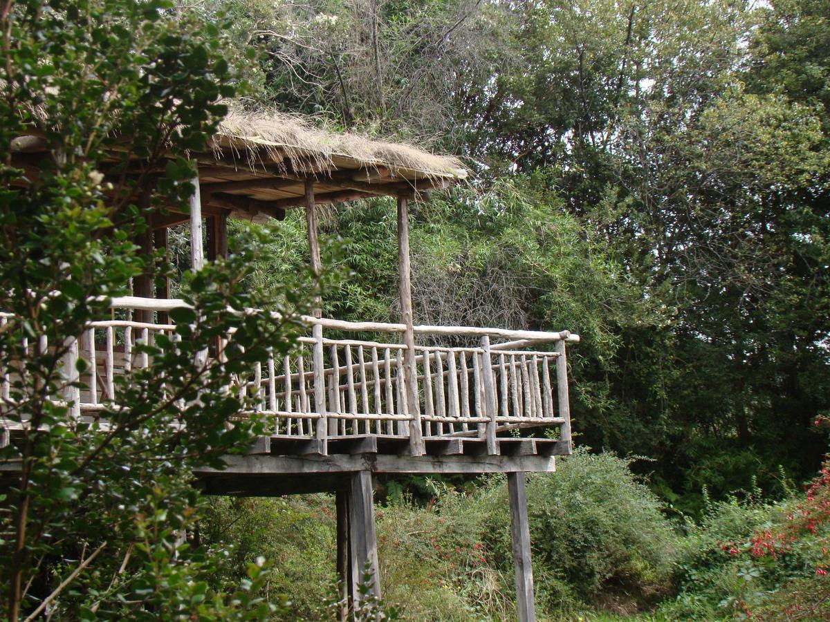 Villa Puelo Siempreverde Puelo River Exterior foto